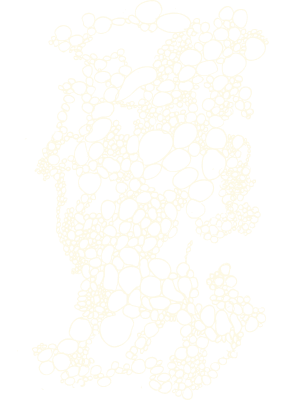 Regina Dejiménez - Textile and Design Studio: Textile Pattern 01