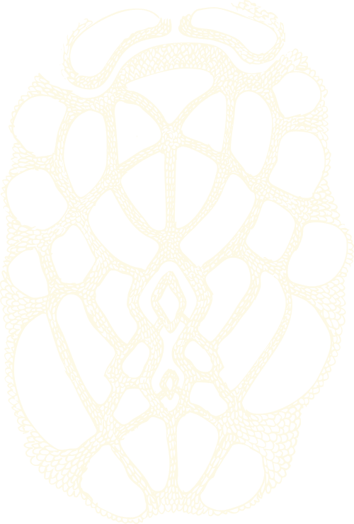 Regina Dejiménez - Textile and Design Studio: Textile Pattern 02
